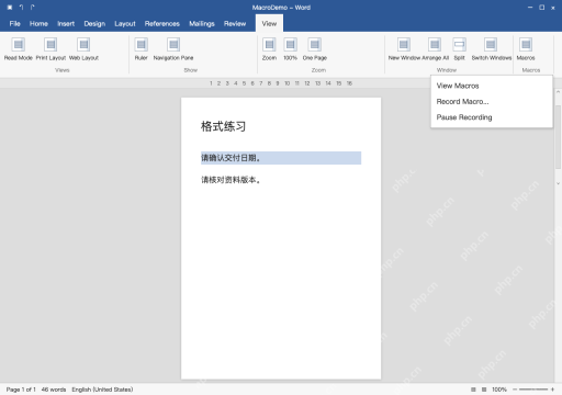 模拟 Microsoft Word完整窗口：选中练习文字，再打开录制宏