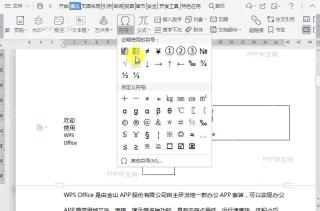 WPS插入特殊字符中间操作