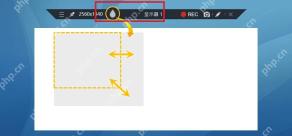 Bandicam Windows 全屏录制控制条高亮顶部控制栏和录制区域
