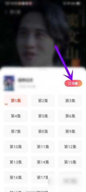 红果免费短剧选集面板收藏按钮