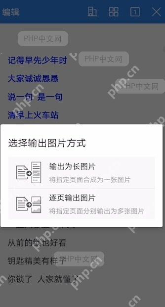 如何将文档 输出为图片结果检查
