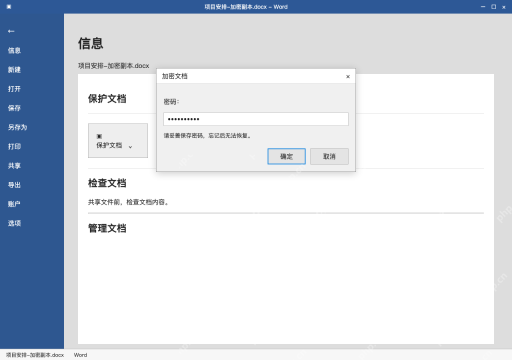 模拟 Microsoft Word 简体中文桌面版完整界面：设置并确认打开密码，然后保存