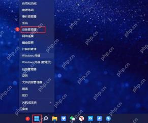 win11网络适配器在哪里打开_win11网络适配器管理入口说明 - php中文网