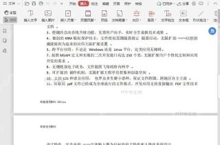 PDF如何在PDF文档中更新页眉页脚?结果检查