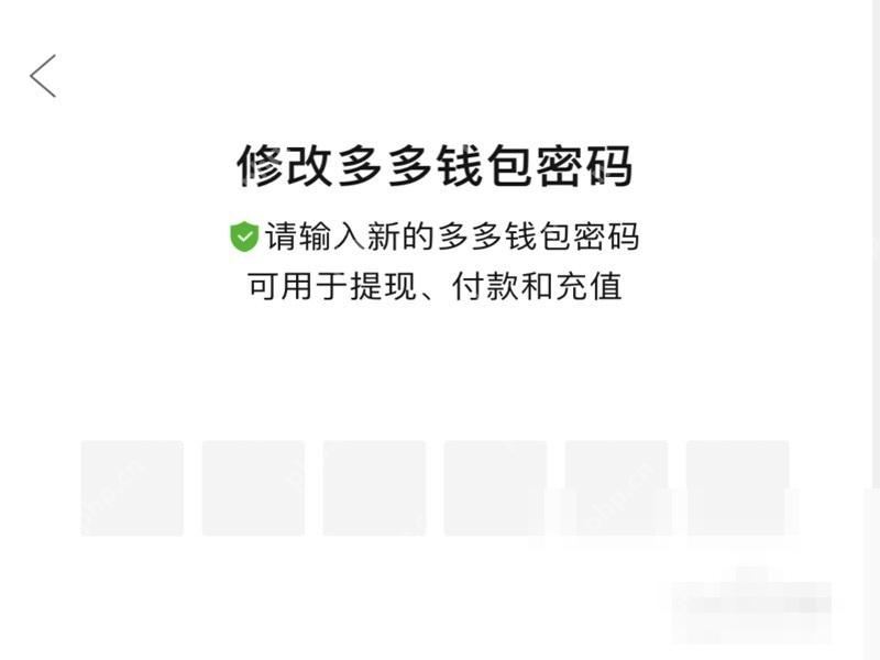 拼多多修改多多钱包密码页面的密码输入区域