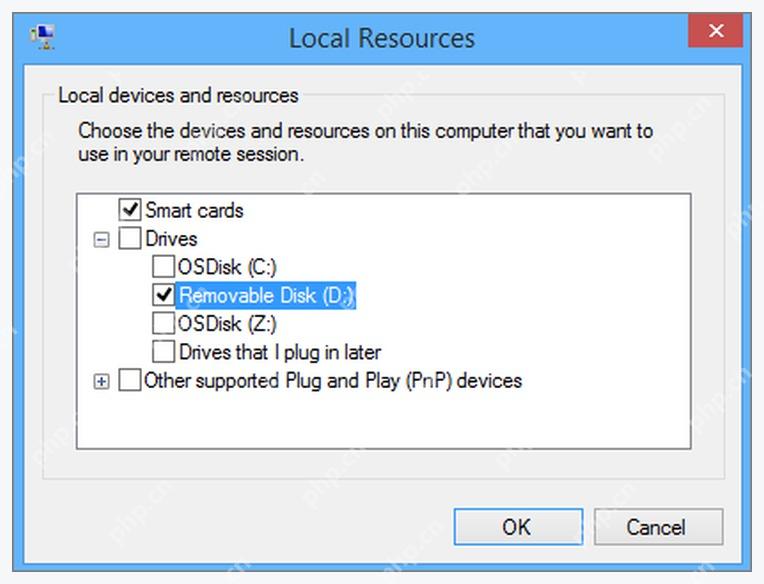 Hyper-V Local Resources 窗口中 Drives 和 Removable Disk 共享项