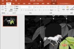 1621406893670425.jpg How to remove picture background in ppt