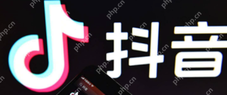 抖音网页版登录入口_抖音官方网站在线使用 - php中文网