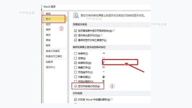 Word 选项显示页面勾选显示所有格式标记