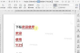 如何显示修订标记?结果检查