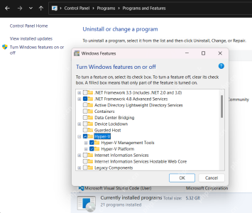 Windows 功能窗口中 Hyper-V 主项和子项位置