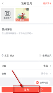 转转 App 发布宝贝页面分类价格和发布按钮,证明发布闲置物品最后需要确认分类价格并提交