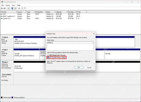 Windows 磁盘管理中打开 Initialize Disk 窗口准备初始化新硬盘