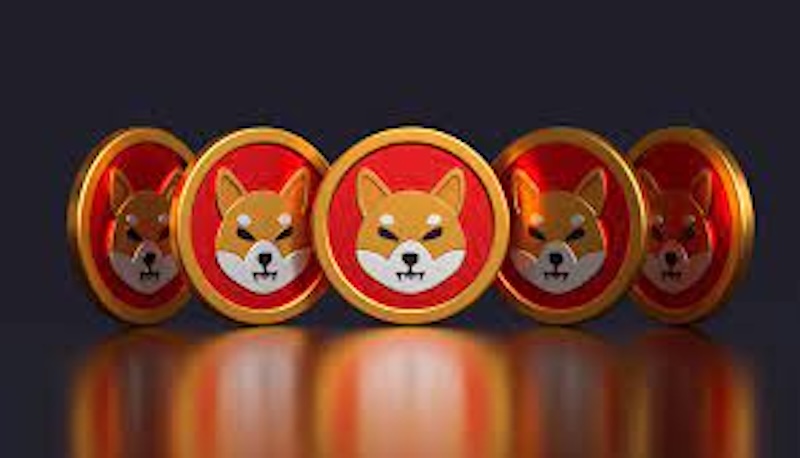 柴犬币(SHIB)价格持续低迷,现在是抄底好时机吗? - php中文网