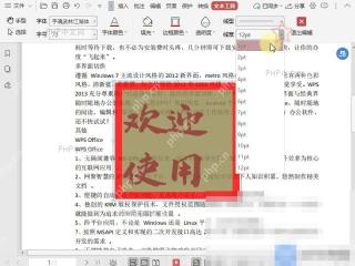 PDF如何修改PDF文档中文本框的边框线线宽?设置效果