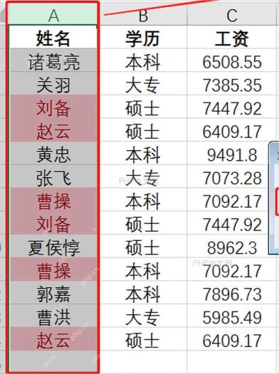 Excel姓名列中重复值已经被条件格式高亮显示