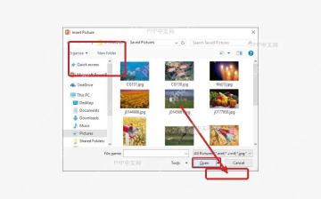 PowerPoint 插入图片窗口中从文件选择背景图