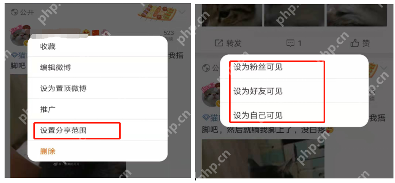 微博 APP 按页面提示进入账号验证或认证资料页面