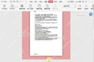 如何快速选择PDF文档中的偶数页面?设置效果