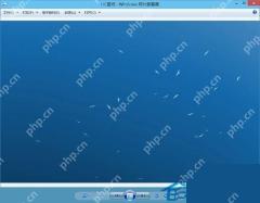 Win10 使用旧版 Windows 照片查看器打开图片