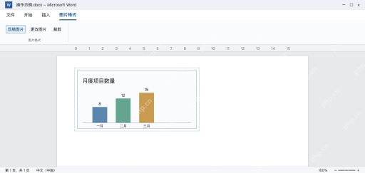 模拟 Word选中插入图片后出现图片格式和压缩图片按钮