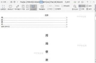 如何打开文档Web版式视图?结果检查