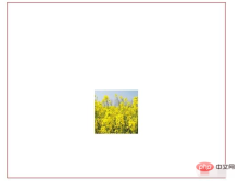 1607999959296560.png css中如何調整圖片位置