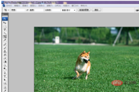 1567477433617867.png ps2018修補工具怎麼用