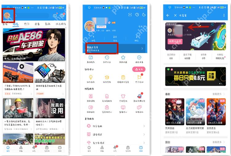哔哩哔哩我的页面到大会员详情的入口流程
