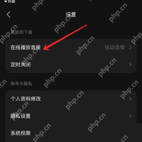 汽水音乐iPhone 设置页在线播放音质一行