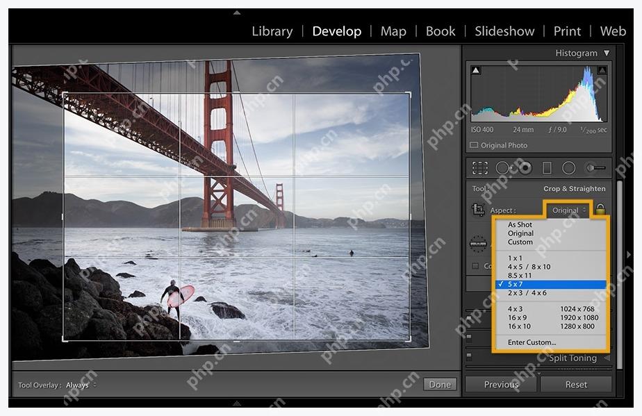 Lightroom Classic Crop & Straighten 面板中展开 Aspect 尺寸比例列表