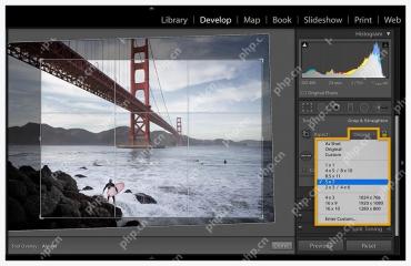 Lightroom Classic Crop & Straighten 面板中展开 Aspect 尺寸比例列表