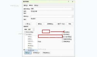 Word 查找和替换窗口展开更多选项后的高级匹配设置，用于控制替换范围