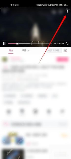 哔哩哔哩视频播放页右上角更多入口