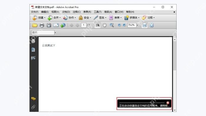 Adobe Acrobat图3