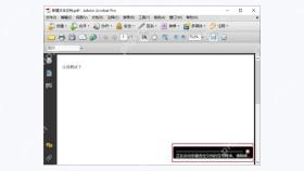 Adobe Acrobat图3