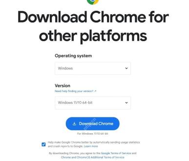 Chrome 其他平台下载选择界面