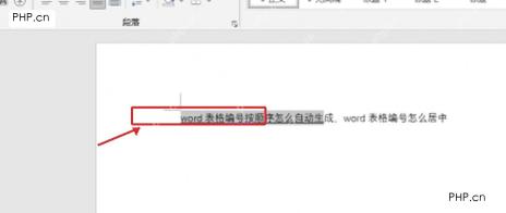 Word 文档中已选中文本内容，准备添加下划线