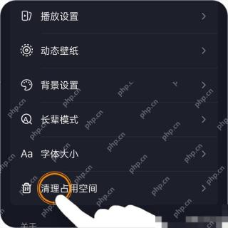 抖音设置页面中的清理占用空间入口,证明缓存管理所在位置