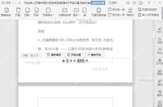 修改文档页码字体的大小和效果
