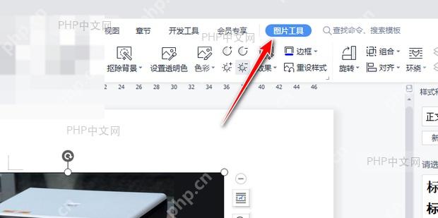 Word如何按形状裁剪文档图片? 选中图片进入图片工具