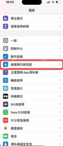 iPhone 设置页面中屏幕显示与亮度入口被标出，对应简体中文的显示与亮度