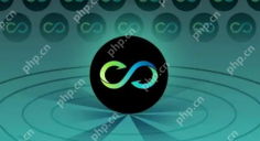 HOOK币怎么样?HOOK币有哪些优势?HOOK币值得购买吗? - php中文网