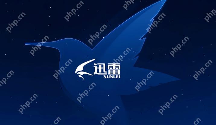 迅雷手机在线观看国产片 国产迅雷免费在线观看入口 - php中文网