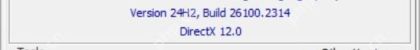 CPU-Z About 页面 Windows Version 区域下方显示 DirectX 版本信息