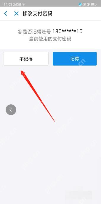 支付宝中文界面:不记得,对应步骤:系统问你是否记得当前支付密码时,直接点“不记得”。这样才会进入找回而不是普通修改。