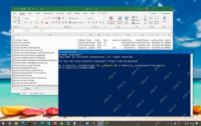 导出清单复核