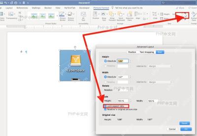 Word 高级布局大小页中 Lock aspect ratio 选项被标出