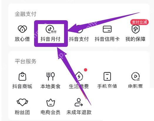 抖音钱包页抖音月付入口