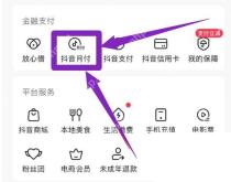 抖音钱包页抖音月付入口